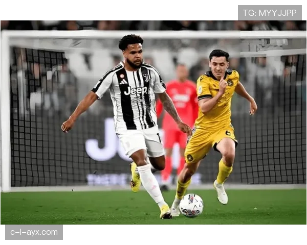 乌迪内斯攻防均衡再显成效，赛季稳健表现引关注