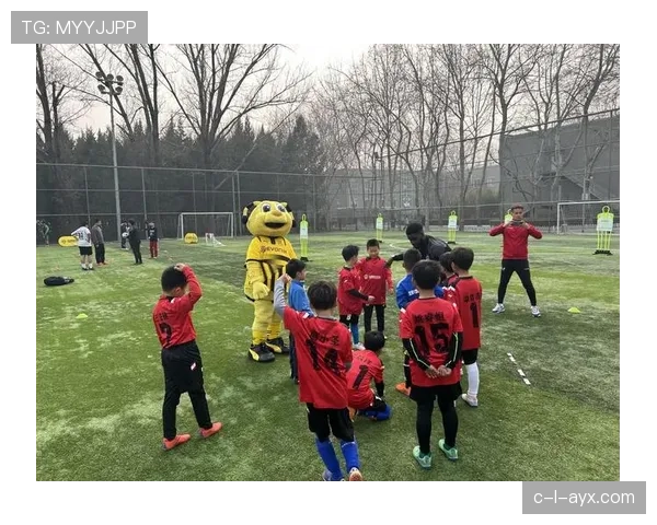 多特青训实力 多特青训实力