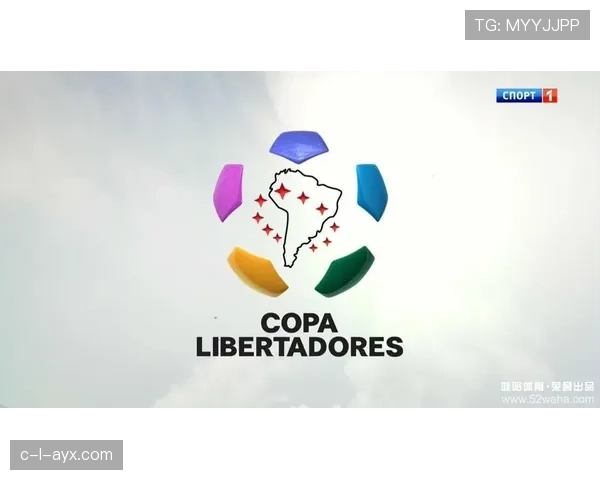 南美杯争议话题：裁判判罚与赛制公平性引热议