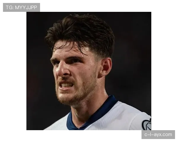 厄德高在强队中的战术角色与表现稳定性分析