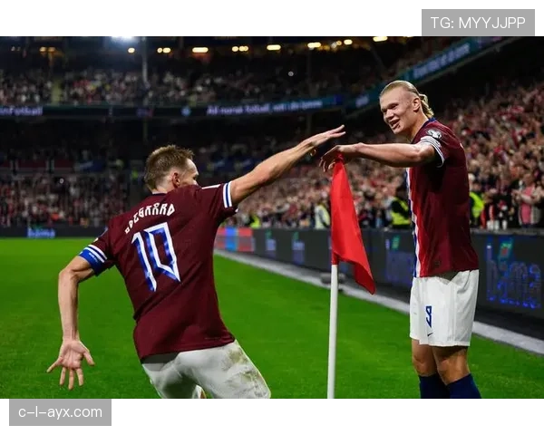 哈兰德：挪威偶像的崛起之路解析