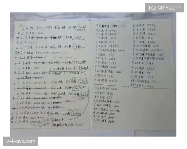 吴柳芳又晒新表，价位一出我都不好意思把工资条发群里