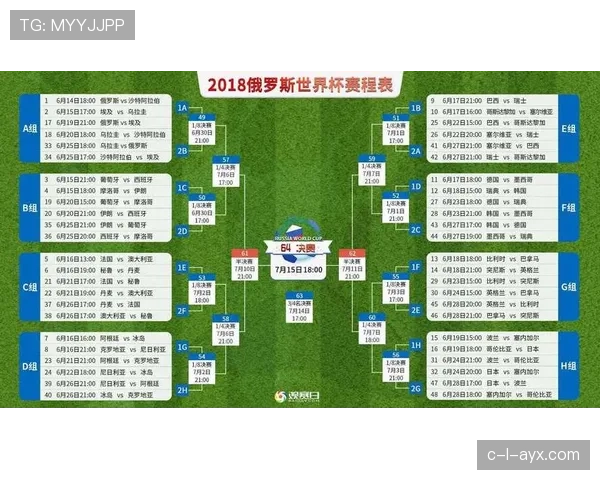世界杯D组球队年龄结构分析
